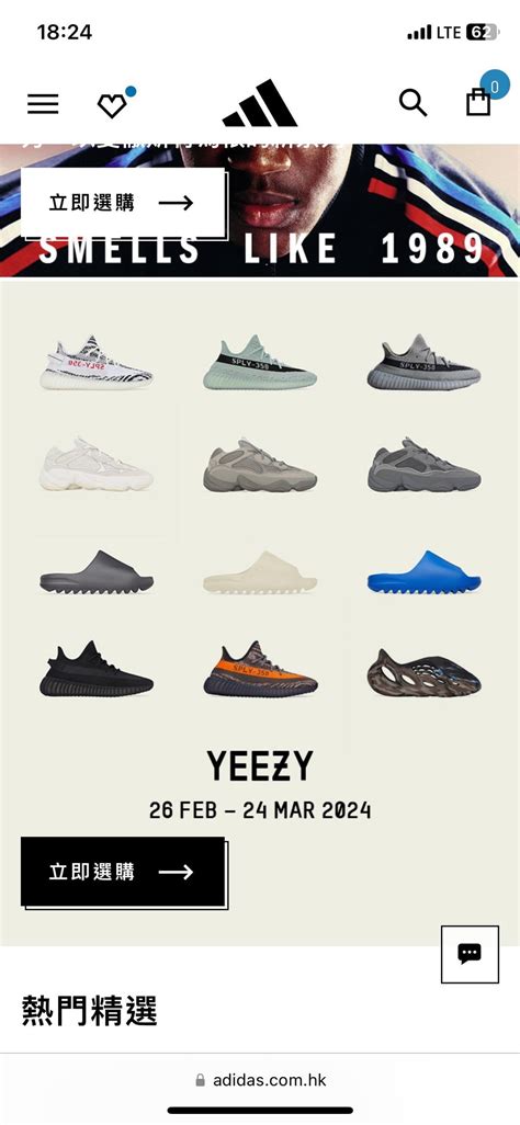 adidas yeezy dupe|yeezy website official.